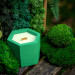 "Forest Balance" decorative scented candle