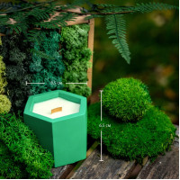 "Forest Balance" decorative scented candle