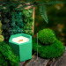 "Forest Balance" decorative scented candle