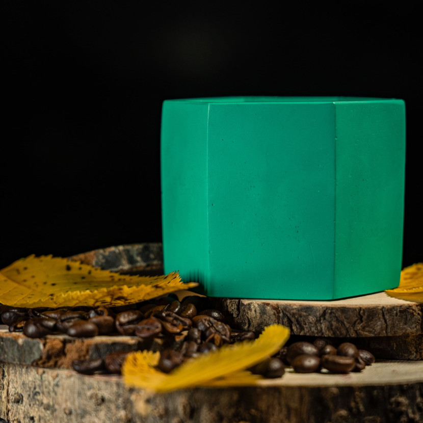 "Forest Balance" decorative scented candle
