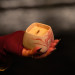 "Soft Rose Marble" Decorative Scented Candle