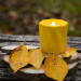 "Golden Light" Decorative Scented Candle